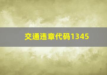 交通违章代码1345