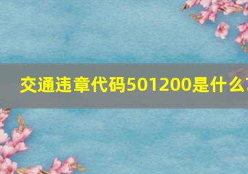 交通违章代码501200是什么?