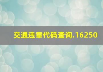 交通违章代码查询.16250