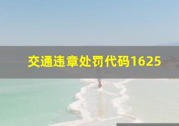 交通违章处罚代码1625