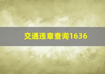 交通违章查询1636