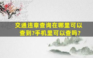 交通违章查询在哪里可以查到?手机里可以查吗?