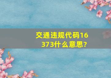 交通违规代码16373什么意思?