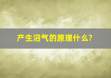 产生沼气的原理什么?