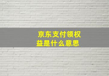 京东支付领权益是什么意思 