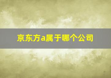 京东方a属于哪个公司