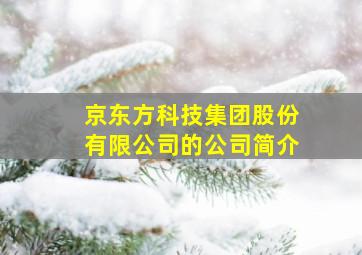 京东方科技集团股份有限公司的公司简介