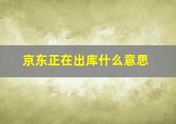 京东正在出库什么意思