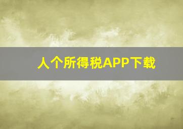 人个所得税APP下载