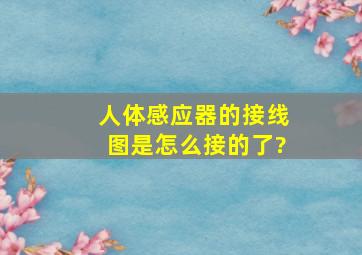 人体感应器的接线图是怎么接的了?