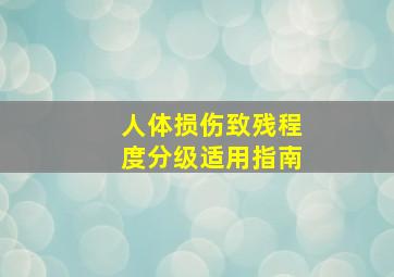 人体损伤致残程度分级适用指南