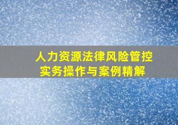 人力资源法律风险管控实务操作与案例精解 