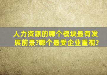 人力资源的哪个模块最有发展前景?哪个最受企业重视?