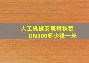 人工机械安装铸铁管DN300多少钱一米