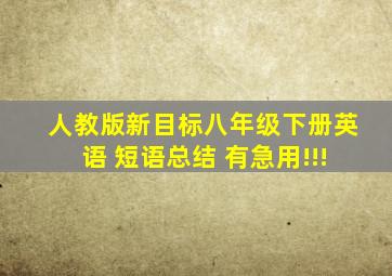 人教版新目标八年级下册英语 短语总结 有急用!!!