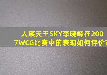 人族天王SKY李晓峰在2007WCG比赛中的表现如何评价?