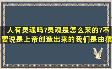 人有灵魂吗?灵魂是怎么来的?(不要说是上帝创造出来的)我们是由猿人...