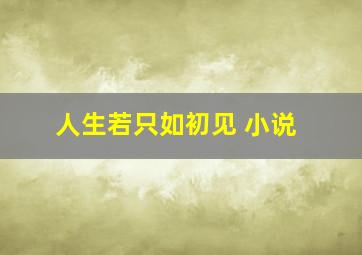 人生若只如初见 小说