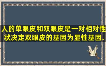 人的单眼皮和双眼皮是一对相对性状决定双眼皮的基因为显性基因...