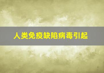 人类免疫缺陷病毒引起 ( )