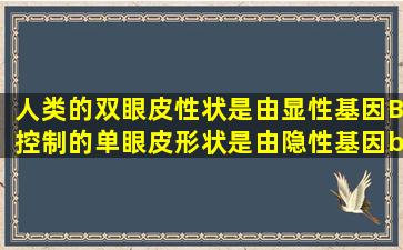 人类的双眼皮性状是由显性基因B控制的,单眼皮形状是由隐性基因b...