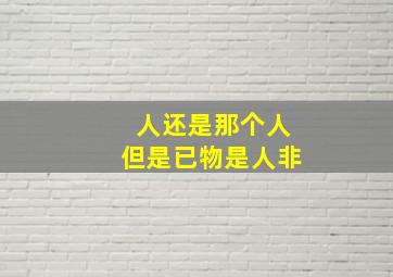 人还是那个人但是已物是人非