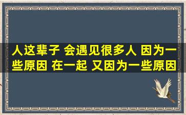 人这辈子 会遇见很多人 因为一些原因 在一起 又因为一些原因 分开了 ...