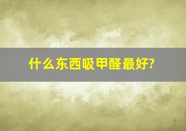 什么东西吸甲醛最好?