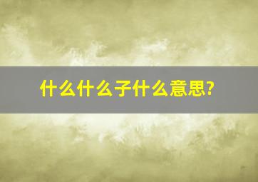 什么什么子什么意思?