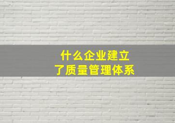 什么企业建立了质量管理体系