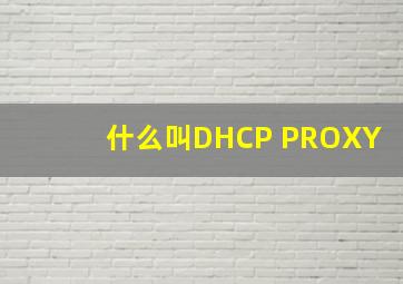 什么叫DHCP PROXY