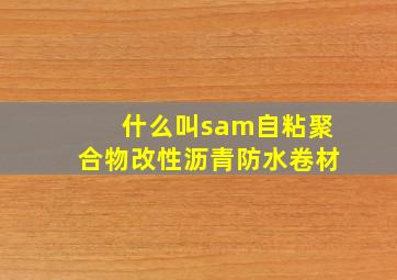 什么叫sam自粘聚合物改性沥青防水卷材