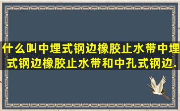 什么叫中埋式钢边橡胶止水带,中埋式钢边橡胶止水带和中孔式钢边...