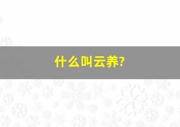 什么叫云养?