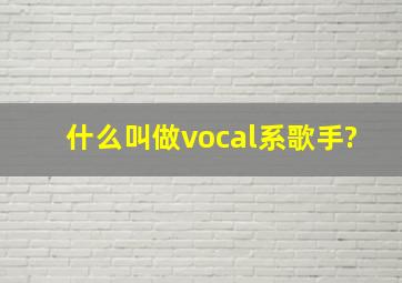 什么叫做vocal系歌手?