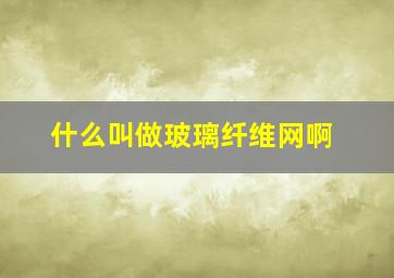 什么叫做玻璃纤维网啊