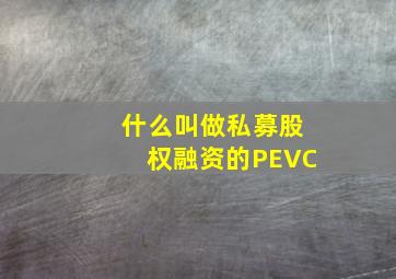 什么叫做私募股权融资的PE、VC(