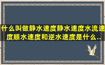 什么叫做静水速度(静水速度、水流速度、顺水速度和逆水速度是什么...