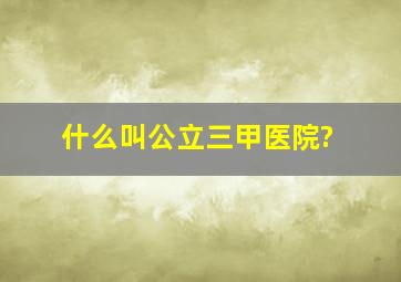 什么叫公立三甲医院?