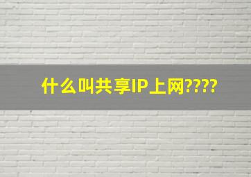 什么叫共享IP上网????