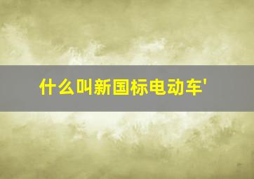 什么叫新国标电动车'