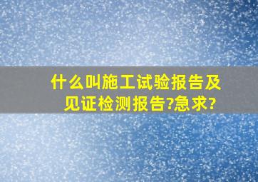 什么叫施工试验报告及见证检测报告?急求?