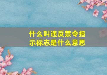 什么叫违反禁令指示标志是什么意思