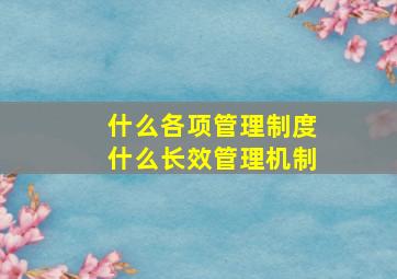 什么各项管理制度什么长效管理机制(