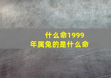 什么命1999年属兔的是什么命