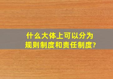 什么大体上可以分为规则制度和责任制度?