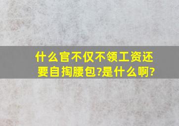 什么官不仅不领工资,还要自掏腰包?是什么啊?