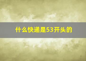 什么快递是53开头的