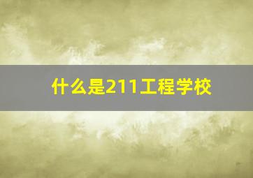 什么是211工程学校