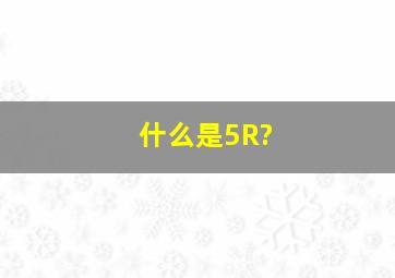 什么是5R?